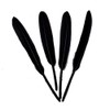 Sowder Black Goose Feather for Craft Wedding Home Decorations Pack