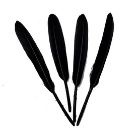 Sowder Black Goose Feather for Craft Wedding Home Decorations Pack of 100
