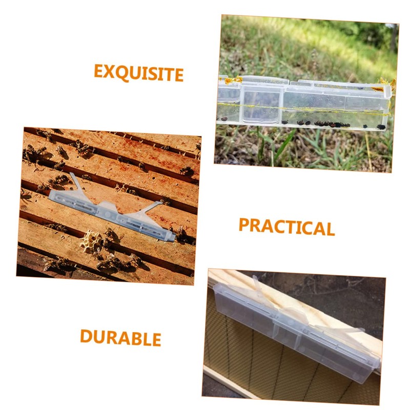 CIYODO 6pcs Clear Reusable Hive Beetle Traps Baitable Beetle Collecting