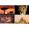 20 Animal Mix Postcards - 20 Individual and Unique Pictures