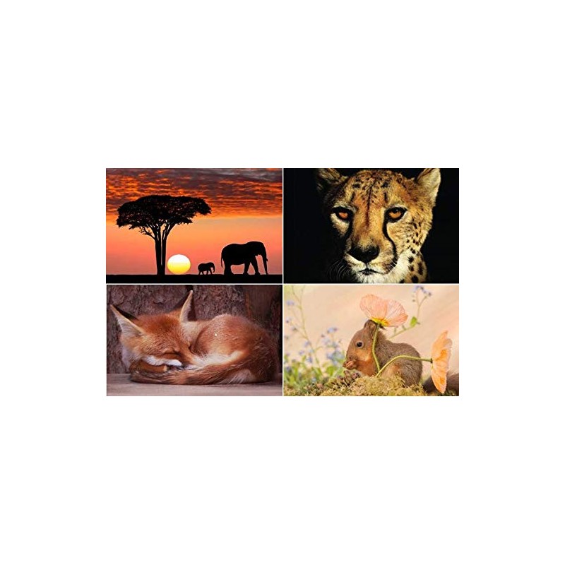 20 Animal Mix Postcards - 20 Individual and Unique Pictures