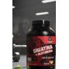 Creatina Glutamina 1 Kg Strong Protein 50servicios