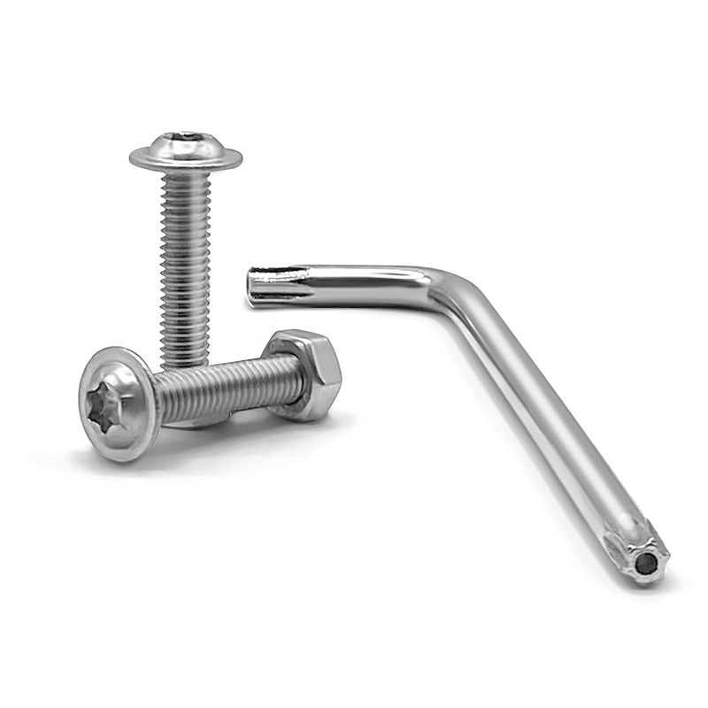 Rounded Head Screws with Flange TORXM6 (M6 x 60)