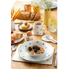 Price & Kensington Sweet Bee Set of 4 Coasters Multicolor