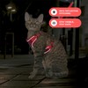 Best Pet Supplies Voyager Escape Proof Cat Harness and Leash