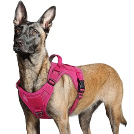 rabbitgoo Dog Harness No Pull, Military Dog Harness for Large Dogs with Handle & Molle, Easy Control Service Dog Vest Harness Training Walking, Adjustable Reflective Tactical Pet Harness, Rose Red L