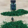 Tiardey 56ML Model Scenery Leaf Litter Models Simulation Leaf Leaves