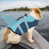 Queenmore Dog Life Jacket High Flotation, Reflective Dog Life Vest