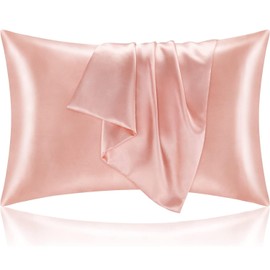 Pillowcase 2 Pack Silk Pillowcase for Women Men 48X74cm Soft Breathable Smooth Cooling Pillow Covers for Sleeping