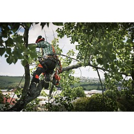 Husqvarna Zenoa Arborist Carabiner Oval 596936211 Silver, Orange