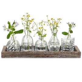 Glsseam Glass Bud Vases for Flower: 5 Clear Small Vases Set with Rustic Wooden Tray for Home Office Living Room Wedding - Vintage Table Centerpieces for Birthdays Anniversaries Housewarming Gifts
