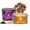Mycelium 15LB Monotub Mushroom Grow Kit | 10LB CVG Substrate
