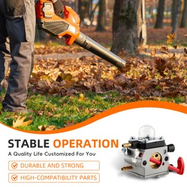 GoaMotors BG50 Carburetor with Air Filter Fuel Filter Fuel Line for Stihl BG50 BG65 SH55 SH85 Leaf Blower Carburetor Replace 4229 120 0650