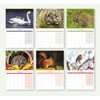 2026 A4 British Wildlife Calendar UK. One Month to View.