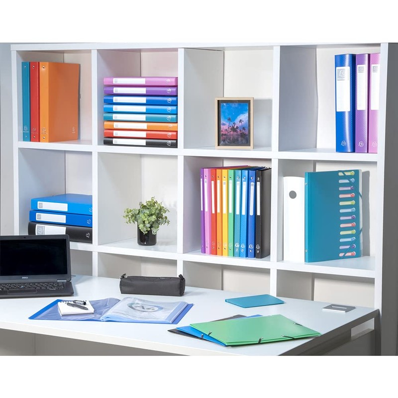 Exacompta 51299E Ring Binder Polypropylene 500 A4 4 Rings Spine