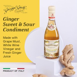 Giuseppe Giusti Ginger Sweet and Sour Condiment – Made With Balsamic Vinegar of Modena, Elevate Salads, Pasta, Desserts, and Craft Cocktails – 8.45 fl oz (250 ml) - Pack of 1