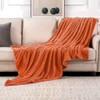 MIULEE Cuddly Fleece Blanket, Flannel Blanket, Plain Blankets, Couch Blanket,
