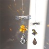 WEISIPU Crystal Suncatcher Prism - Dragonfly Suncatchers for Windows Hanging