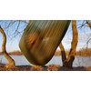 BUSHMEN travel gear Hammock ULTRALIGHT Ultra Light Japanese Genuine Green