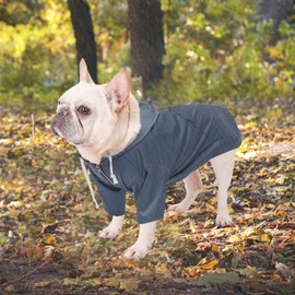 Dog Raincoat Puppy rain Jacket with Hood for Small Medium Breeds with Reflective Strap Storage Pocket Harness Hole Blue M
