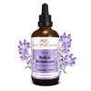 Baikal Helmkraut Tincture, Scutellaria Baicalensis Tincture in Extract Ratio 1:4,