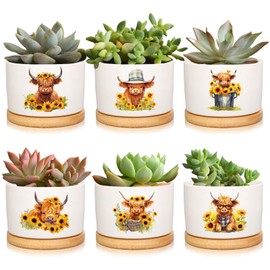FYSUIMU 6Pcs Highland Cow Decor Gift Planter Rustic Cow Sunflower Ceramic Succulent Pots Animal Plant with Tray Appreciation Gift for Farmhouse Home Office Kitchen Bathroom, No Plants