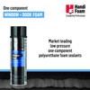 24 oz Handi-Foam Window & Door Straw Foam