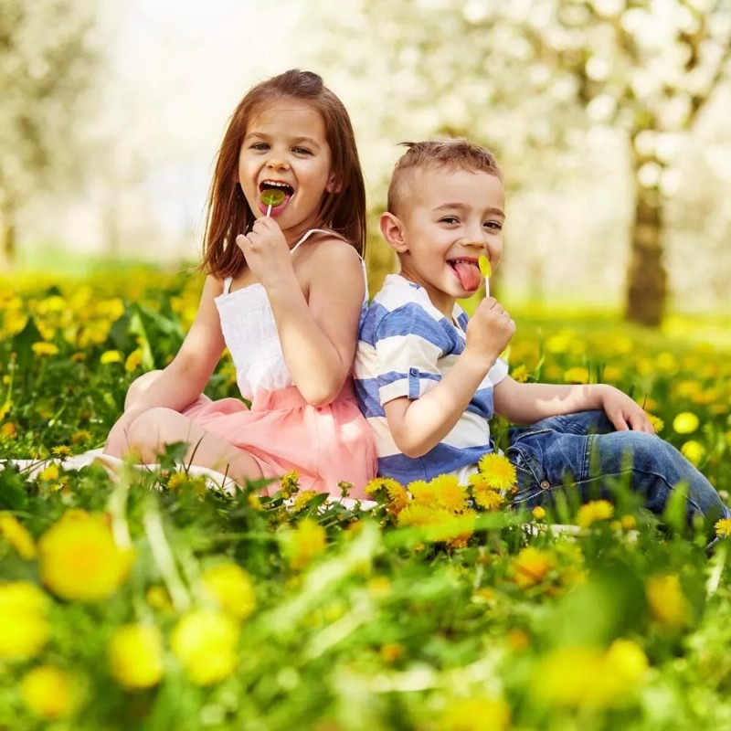 Nature Soothie Comfort Soothie Honey Lemon & Chamomile 12 Lollipops