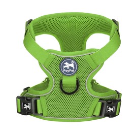 PoyPet Reflective Soft Breathable Mesh Dog Harness Choke-Free Double Padded Vest with Adjustable Neck and Chest(Grass Green,XS)