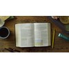 ESV Study Bible, Personal Size (TruTone, Forest/Tan, Trail Design)