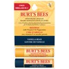 Burt’s Bees® Beeswax & Vanilla Bean Lip Balm 2 pack,