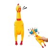 Surprise Chicken, Pet Delight, Loud Chicken, Screaming Funny, Sharp Chicken,
