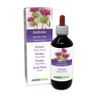 Large Burdock (Arctium lappa) Herb and Roots Alcohol-Free Mother Tincture