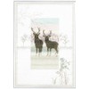 Frosty Deer - Cross Stitch Kit
