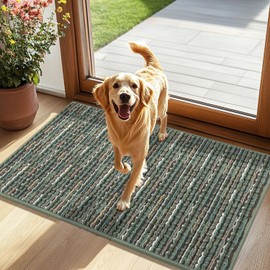 Biscpro Dirt Trapper Door Mats Indoor, Non-slip Barrier Mats for Indoor Outdoor, Super Absorbent Entrance Rug Machine Washable Soft Floor Carpet for Front Back door,Green, 60 x 90 cm