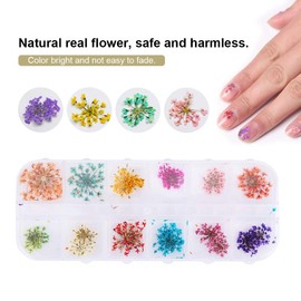 Dried Flowers for Nails, Dried Flowers for Nails, Nail Charms, 12 Colours, Dried Flowers for Acrylic UV Gel Nail Art Tips, 3D Nail Art Stickers for Tips, (Type