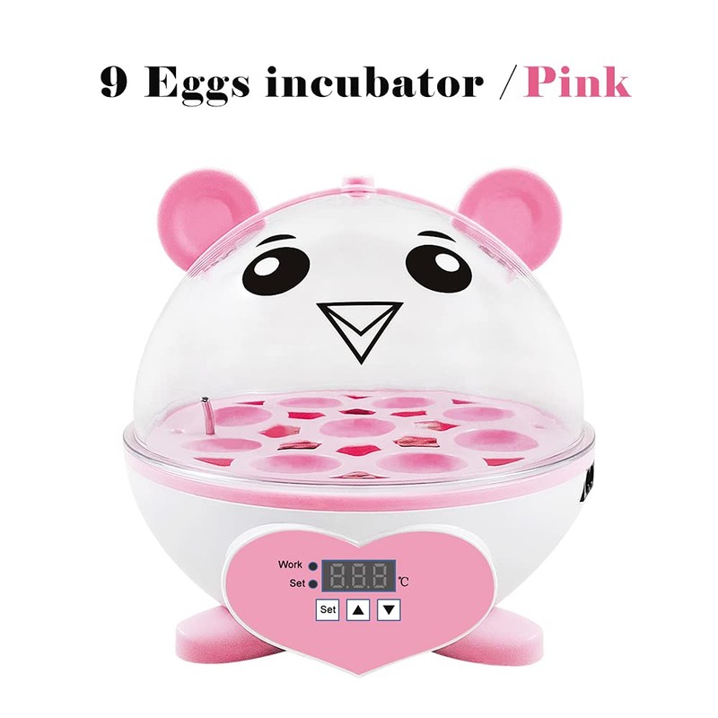 Home Use Incubator Automatic Temperature Control Digital Mini Egg Hatching