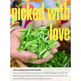 TeeLux Jasmine Green Tea Bags, Natural Caffeinated Jasmine Scented Green Tea with Pleasant Aroma, 100 Count Tea Bags