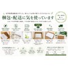 [Powered by Mitsuya-factory Since 1952] Non-woven Activated Carbon Mask CF50,