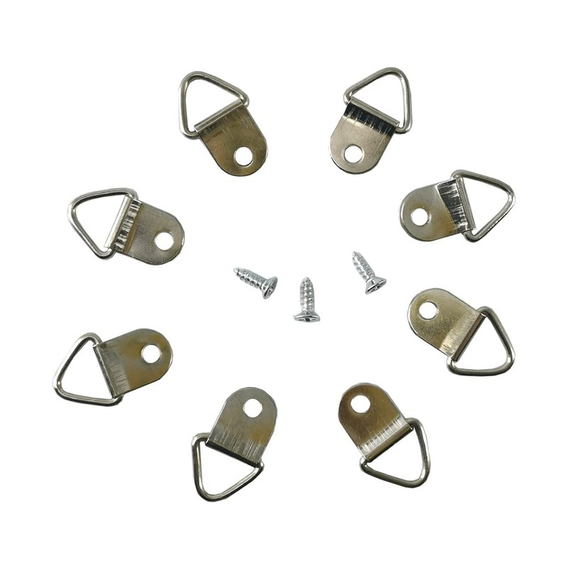 Ruidee Picture Hooks Set, Picture Frame Hangers, Prismatic Hangers, Serrated