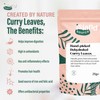 Curry Leaves Natural Dehydrated 25g – Handpicked not Curry Leaves