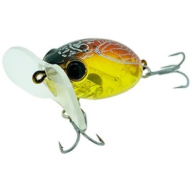 Zact Craft Zaguna Micro II #1 Clear Hull Seminar