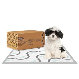 Pet Life Unlimited Smart Prints Large Puppy Pads – 22" x 22", 42 Count (L) | Stylish Dog Training Pads with Odor Controlling Wetness-Activated Magnolia Blossom Scent | USA Made