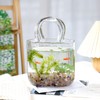 Fixwal Glass Purse Vase for Flowers, Clear Bag Vases with