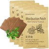 100 Patches Moxibustion Herbal Warming Patch,Soothing for Back&Neck&Shoulder&Knee&Joints Traditional Chinese,