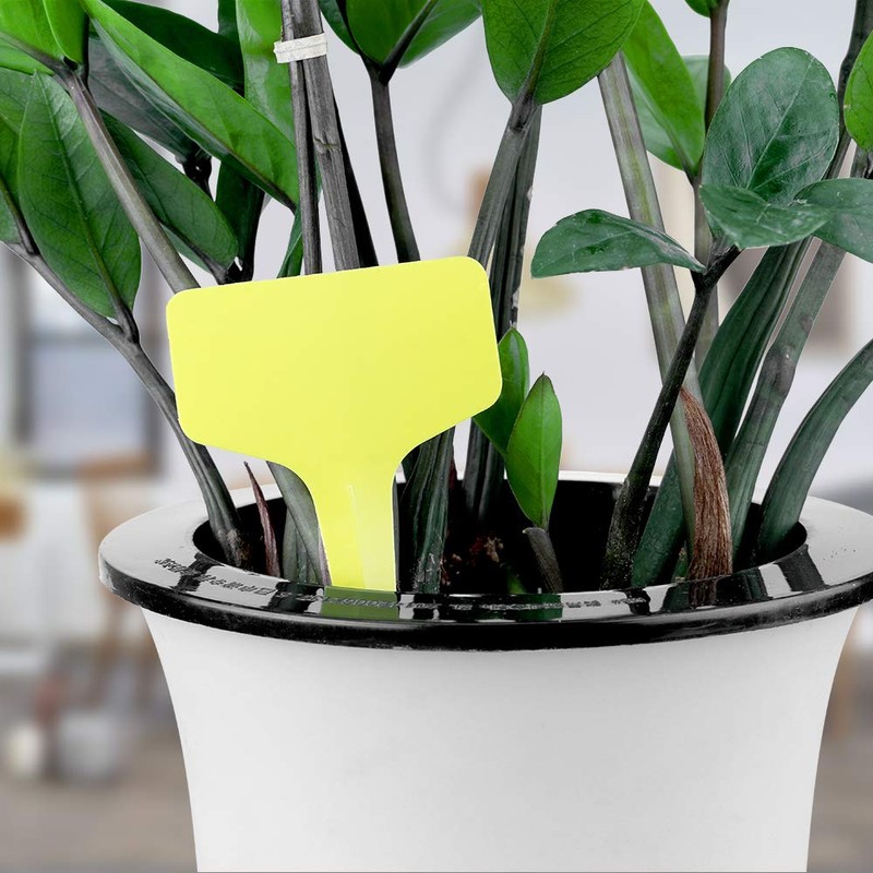 KINGLAKE 100pcs 6x10cm Plastic Plant Labels for Seeds, Seedling, Vegetables,