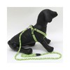 LuminaD Functional Reflective Dog Leash & Collar for Outdoor Walks Functional Reflective Leash Blue