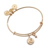 Alex and Ani Zodiac Bangle