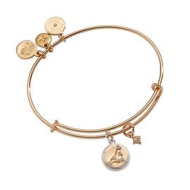 Alex and Ani Zodiac Bangle