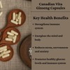 Canadian Vita Ginseng Capsules - Immune System and Energy Support